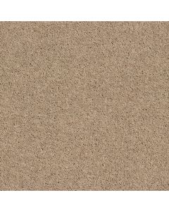 Shaw POINT GUARD 12' Tassel Carpet - SH-Q4855-00107
