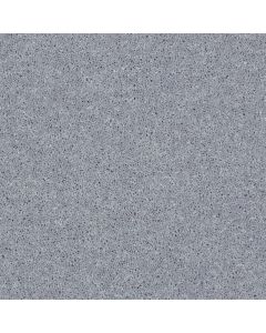 Shaw POINT GUARD 12' Dolphin Carpet - SH-Q4855-00541