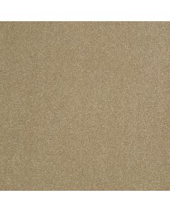 Shaw SOPHISTICATION 12' Sahara Carpet - SH-Q4876-00205