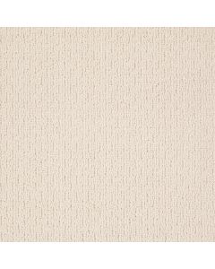 Shaw CASUAL MOOD Falling Snow Carpet - SH-Z6820-00110