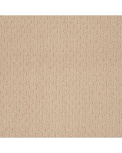 Shaw CASUAL MOOD Big City Beige Carpet - SH-Z6820-00172