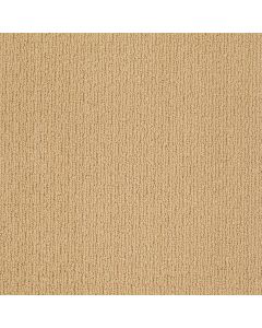 Shaw CASUAL MOOD Moon Glow Carpet - SH-Z6820-00224