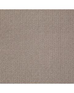 Shaw CASUAL MOOD Birch Shadow Carpet - SH-Z6820-00555