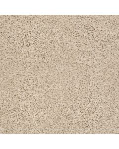 Shaw DEL MORRO Brushed Ivory Carpet - SH-ZZ021-00111