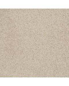 Shaw DEL MORRO Chic Cream Carpet - SH-ZZ021-00112