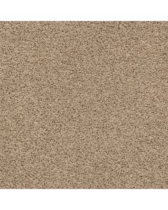 Shaw DEL MORRO Midland Carpet - SH-ZZ021-00119