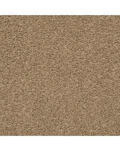 Shaw DEL MORRO Crossroads Carpet - SH-ZZ021-00170