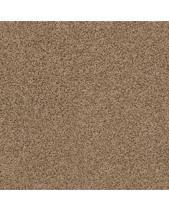 Shaw DEL MORRO Rocky Ridge Carpet - SH-ZZ021-00172