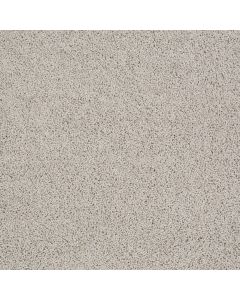 Shaw DEL MORRO Cement Carpet - SH-ZZ021-00512