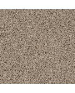 Shaw DEL MORRO Nomadic Carpet - SH-ZZ021-00513