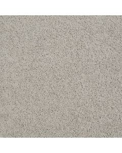 Shaw DEL MORRO Gray Whisper Carpet - SH-ZZ021-00515