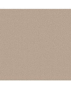Shaw CATHEDRAL HILL II Brushed Ivory Carpet - SH-ZZ040-00111
