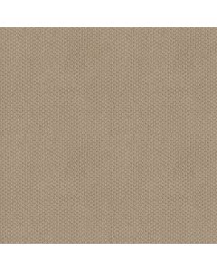 Shaw CATHEDRAL HILL II Feather Carpet - SH-ZZ040-00114