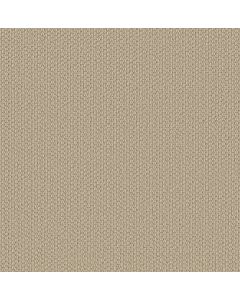 Shaw CATHEDRAL HILL II Grecian Stone Carpet - SH-ZZ040-00152