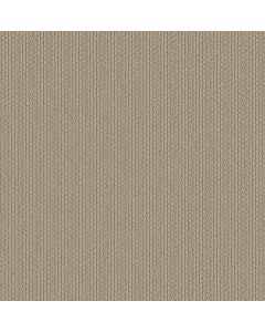 Shaw CATHEDRAL HILL II Smoky Pearl Carpet - SH-ZZ040-00154