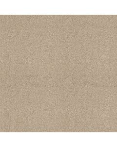 Shaw OCEAN VIEW Softer Tan Carpet - SH-ZZ043-00123