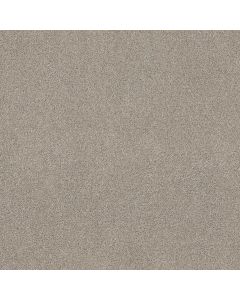 Shaw OCEAN VIEW Shale Carpet - SH-ZZ043-00512