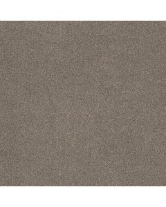 Shaw OCEAN VIEW Elusive Carpet - SH-ZZ043-00537