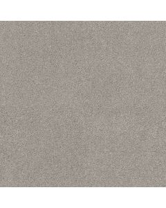 Shaw OCEAN VIEW Silver Screen Carpet - SH-ZZ043-00542