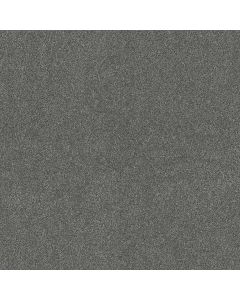 Shaw OCEAN VIEW Mineralite Carpet - SH-ZZ043-00548