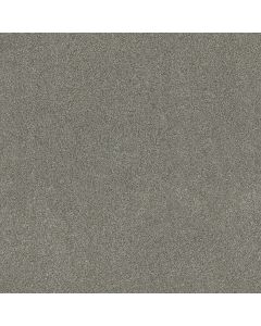 Shaw OCEAN VIEW Drift Carpet - SH-ZZ043-00554