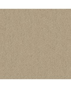 Shaw ACADIA PARK Softer Tan Carpet - SH-ZZ044-00123