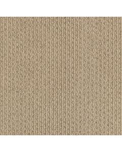 Shaw CHAPEL RIDGE Sandcastle Carpet - SH-ZZ045-00113