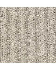 Shaw CHAPEL RIDGE Cement Carpet - SH-ZZ045-00512
