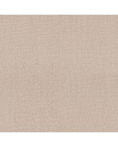 Shaw WANDERER Cotton Tail Carpet - SH-ZZ224-00121