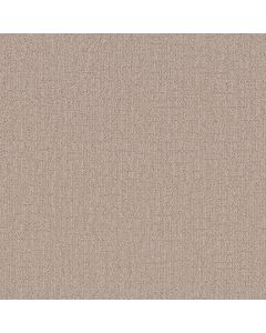 Shaw WANDERER Mystic Beige Carpet - SH-ZZ224-00123