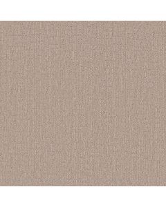 Shaw WANDERER Arizona Tan Carpet - SH-ZZ224-00125