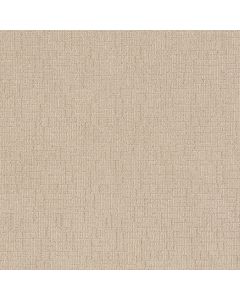 Shaw WAYFARER Cotton Tail Carpet - SH-ZZ225-00121