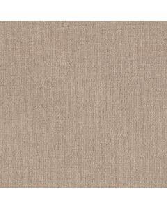 Shaw WAYFARER Mystic Beige Carpet - SH-ZZ225-00123