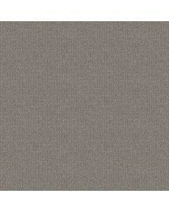 Shaw WAYFARER Horizon Carpet - SH-ZZ225-00353