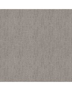 Shaw WAYFARER Heather Gray Carpet - SH-ZZ225-00553