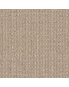 Shaw PORTOFINO High Noon Carpet - SH-ZZ232-00232