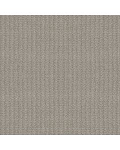 Shaw PORTOFINO Moonbeam Carpet - SH-ZZ232-00542