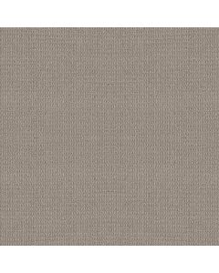 Shaw PORTOFINO Pumice Carpet - SH-ZZ232-00553
