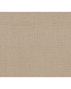 Shaw ONE MORE HOUR Silk Carpet - SH-ZZ233-00112