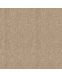 Shaw ONE MORE HOUR Pale Carpet - SH-ZZ233-00123