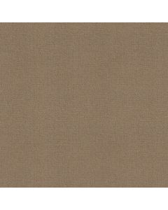 Shaw ONE MORE HOUR Desert Sand Carpet - SH-ZZ233-00124