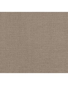 Shaw ONE MORE HOUR Birchwood Carpet - SH-ZZ233-00171
