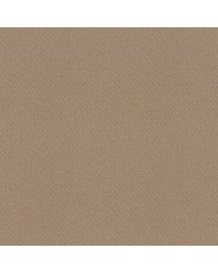 Shaw DEL VISTA Beach Grass Carpet - SH-ZZ262-00117
