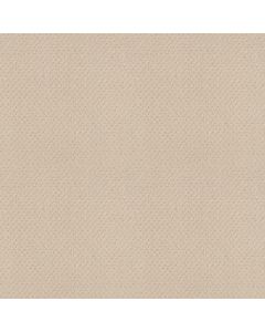 Shaw DEL VISTA Ivory Carpet - SH-ZZ262-00120