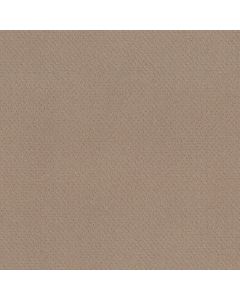 Shaw DEL VISTA Spanish Sand Carpet - SH-ZZ262-00154