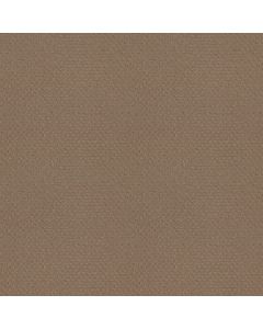 Shaw DEL VISTA Sierra Hills Carpet - SH-ZZ262-00174