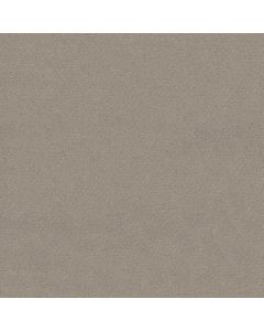 Shaw DEL VISTA Ash Mist Carpet - SH-ZZ262-00511