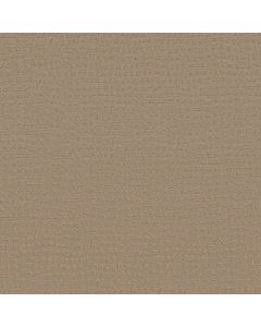 Shaw SOLSTICE Beach Grass Carpet - SH-ZZ264-00117