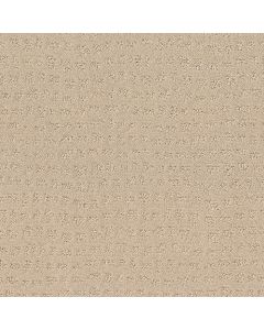 Shaw SOLSTICE Ivory Carpet - SH-ZZ264-00120
