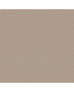 Shaw SOLSTICE Dune Carpet - SH-ZZ264-00152